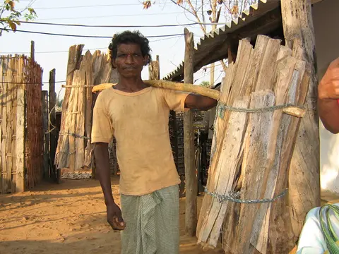 Taking firewood for cooking